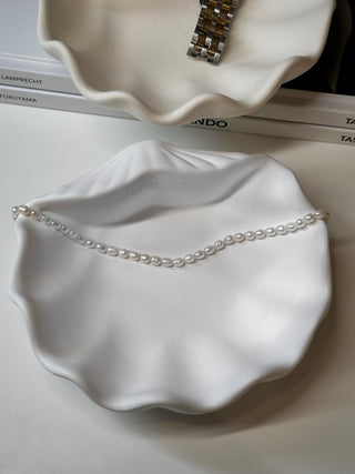 Muschelschale XL
